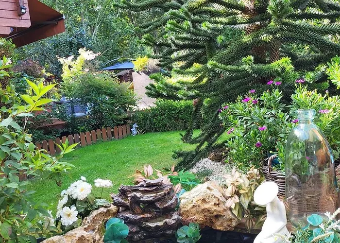 Dans Un Parc Privatif Arbore
