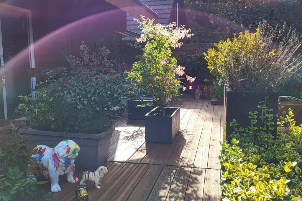 Chalet Dans Un Parc Privatif Arbore *